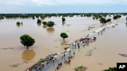 People walk through floodwaters after heavy rainfall in Hadeja, Nigeria, on Sept 19, 2022. 
