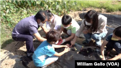 Students at Cheontae Elementary School learn agriculture skills, such as how to tend a garden, Sept. 20, 2022.
