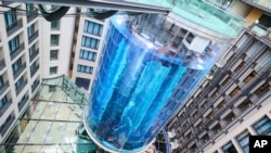 FILE- The AquaDom aquarium in Berlin, June 1, 2022.