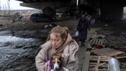 Stanovnica Irpina napušta grad noseći psa