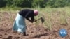 Global Campaign Gives Impetus to Women’s Land Rights in Africa