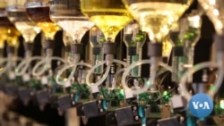 LogOn: Latest Perfumes Blend Florals and Algorithms