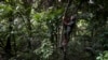 Nickel hub 'apocalyptic' for uncontacted Indonesia tribe, say NGOs