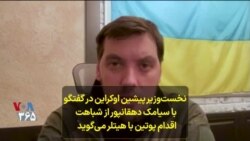 نخست‌وزیر پیشین اوکراین در گفتگو با سیامک دهقانپور از شباهت اقدام پوتین با هیتلر می‌گوید