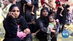 US Designates Myanmar’s Ethnic Cleansing of Rohingya as Genocide 