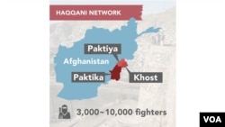 ویل کیږي چې حقاني شبکه ځان ته زرګونه ځایي روایتي جګړه ماران هم لري.