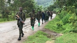 RDC sɔrɔdasiw b’a ɲini a ka sɔrɔdasiw fɛ, u kana boli, ka segin ka fara kelebolo na, M23 ka ɲɛtaa ɲɛkɔrɔ.