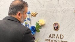 مهرزاد زارعی، پدر آراد زارعی از کشته شدگان پرواز پی‌اس۷۵۲