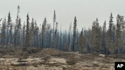 FILE - Wildfires devastated this forest between Enterprise and Kakisa, Northwest Territories, Canada, Aug. 15, 2023. A study released June 27, 2024, says last year's Canadian wildfires released more carbon dioxide into the atmosphere than 647 million cars do in a year.