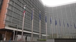 Литванскиот министер Габриелиус Ландсбергис со критики за бугарската блокада