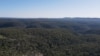 Logging Management Helps Australian State Become Carbon Negative 