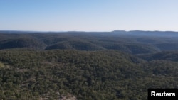 FILE - Trees stand in a habitat populated by koalas in the Greater Blue Mountains World Heritage Area, near Bilpin, Australia, Oct. 13, 2020.