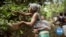 Ghanaian Women Drive New Growth in Coffee Production
