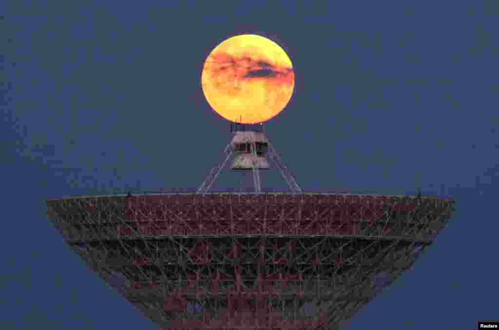 Krımın Moloç Note kəndi