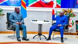 L'armée burundaise a mené 17 incursions en RDC