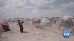 Child Marriages Rise in Ethiopia as Desperate Families Seek Drought Relief 