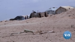 Teaching the Next Generation of IS Fighters in Syria
