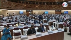 Viruela del mono pone en alerta al sistema sanitario mundial