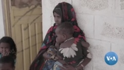 Climate Change Robbing Ethiopia’s Pastoralists of Traditional Livelihood 