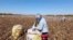 Uzbeks have a right to demand a fair pay for their work in cotton fields, say activists. Photo taken during the 2021 harvest in Uzbekistan. (Uzbek Forum)