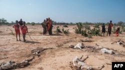 Abaaro daran oo saameeyey gobolka Geeska Afrika