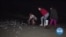 Southern California Lures Tiny Fish for Moonlit Sex in the Sand