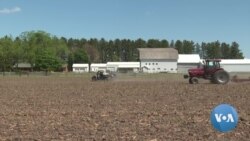 የዩክሬኑ ጦርነት በተራዘመ ቁጥር በዩናይትድ ስቴትስ የእህል ዋጋ እያሻቀበ ነው 