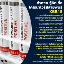 coronavirus xbb.1.5 variant infographic