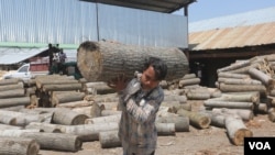 One manufacturer requires 10,000-15,000 willow trees annually to meet the order. (Wasim Nabi/VOA)