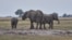 FILE - Elephants are seen on the Chobe river in Kasane, Botswana, July 20, 2022. 