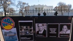 Celebramos hoy el Día Mundial de la Libertad de Prensa