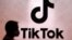 TikTok標識