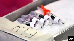 Flu vaccines are lined up in a pan at the L.A. Care and Blue Shield of California Promise Health Plans' Community Resource Center, which was offering members and the public free flu and COVID-19 vaccines, Oct. 28, 2022, in Lynwood, Calif. 