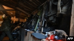 A puppy named "Bomba" (bomb) sleeps in a dugout at a fortified position near the Ukrainian border with Russia and Belarus, Nov. 3, 2022.