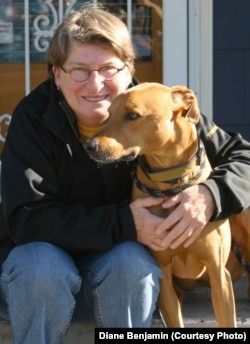 Diane Benjamin treated her Rhodesian ridgeback-greyhound mix with a CBD hemp oil.