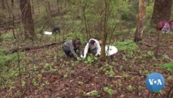 Earth Day Angst: Young People Cope with Sense of Urgency, Hopelessness about Climate Change