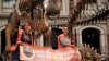 German Climate Activists Glue Themselves to Dinosaur Display 