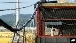 FILE - A South Korean army soldier stands guard inside a military guard post at the Imjingak Pavilion in Paju, South Korea, near the border with North Korea, Oct. 14, 2022.