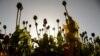 Taliban Poppy Ban Worsens Poverty in Afghanistan, Experts Warn 