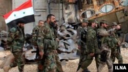 ببرهای سوریه