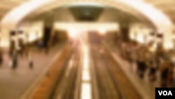 Arte y esculturas hechas de plantas