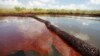 На Фото: Витік нафти з Deepwater Horizon у штаті Луїзіана 26 червня 2010 року.