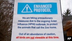 A sign tells visitors about a closed bird exhibit at the Blank Park Zoo, April 5, 2022, in Des Moines, Iowa. Zoos across North America are taking steps to protect birds from avian influenza.