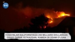 Tramp Kaliforniyada demokrat gubernator bilan "birdam" 