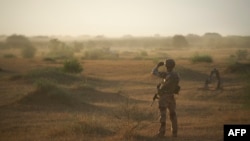 Les autorités nigériennes ont lancé plusieurs opérations dans la zone dite "des trois frontières" aux confins du Niger, du Burkina Faso et du Mali.