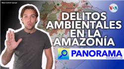 La Amazonía en peligro: los delitos ambientales que la amenazan