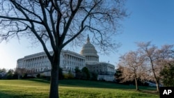 Идејата е да се создаде поангажирана македонска заедница која ќе биде активна во американскиот граѓански процес