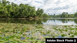 প্রতীকী ছবি। 