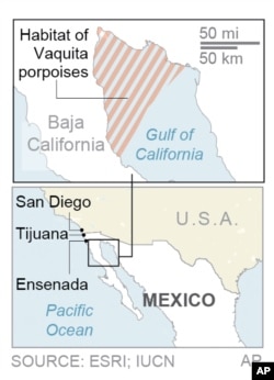 Habitat of vaquita porpoises in northern part of the Gulf of California. (AP graphic)