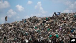 រូបឯកសារ៖ បុរស​អ្នក​រើស​អេតចាយ​ម្នាក់​សម្រាក​នៅ​ជិត​​ហ្វូង​សត្វ​ត្រដក់ នៅ​លើ​គំនរ​សំរាម​ នៅ​តំបន់​អនាធិបតេយ្យ ក្នុង​ទីក្រុង​ណៃរ៉ូប៊ី ប្រទេស​កេនយ៉ា។